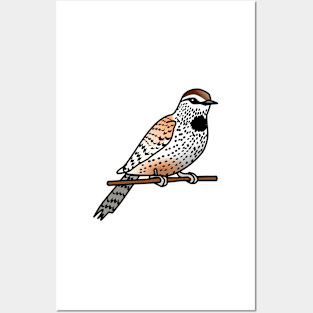 Cactus Wren Posters and Art